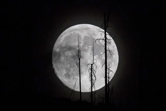 Full Moon is Just Part of Great Bitterroot Night Skies