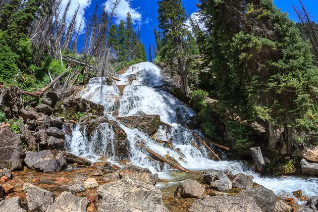 Looking Up at Skalkaho Falls in the Bitterroot