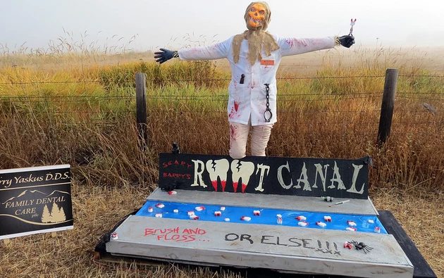 Stevensville Scarecrows &#8216;Scare&#8217; Up Lots of Votes