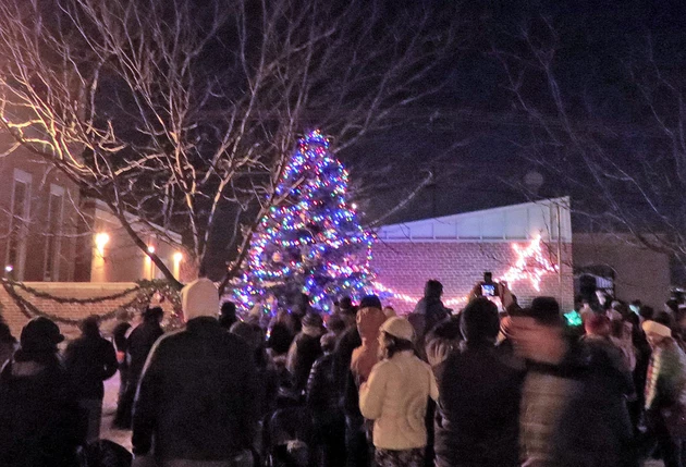 Hamilton Will Light Community Xmas Tree Friday