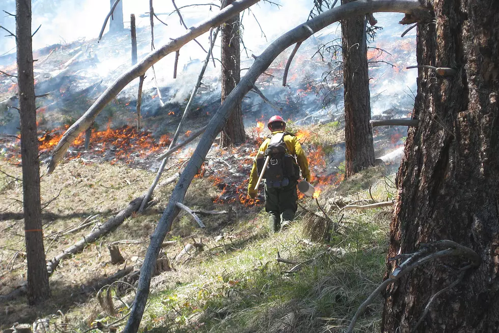 Bitterroot National Forest to Start Spring Burning