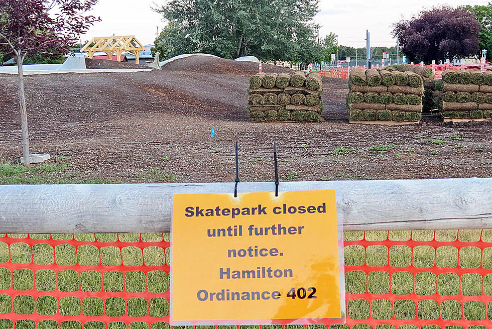 Volunteers Needed Friday for Skate Park Turf Project