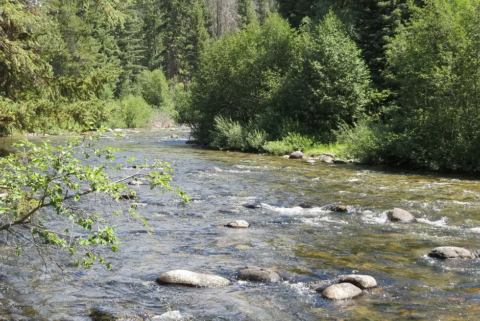 Bitterroot River Cleanup Was Successful