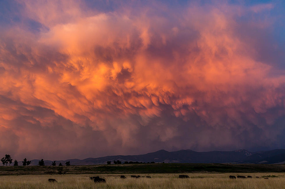 Montana Morning State News Headlines for Tuesday, August 6