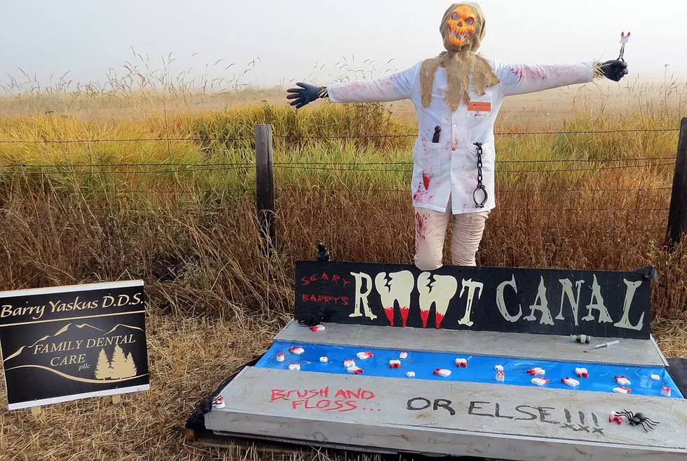 Stevi Scarecrow Festival Will Be Spooky and Funny