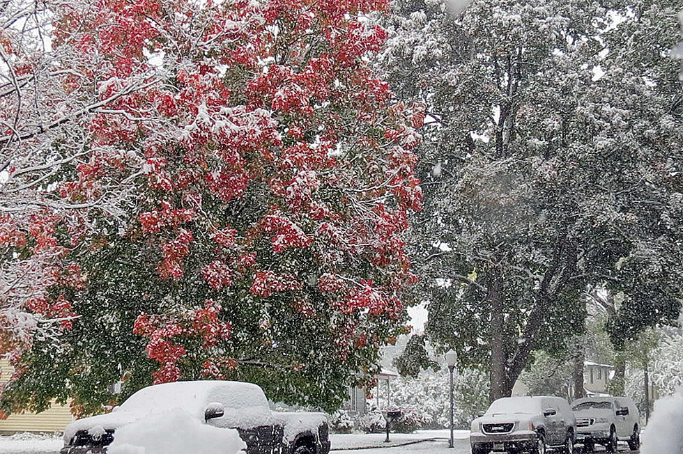 Winter Pays An Unwelcome Visit to Autumn