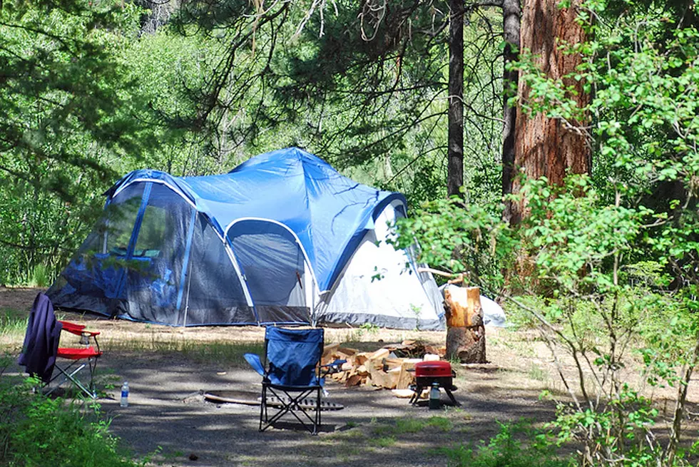 Campground Hosts Needed on Bitterroot Forest