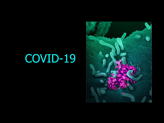 A Reported Positive COVID-19 Test in Ravalli County