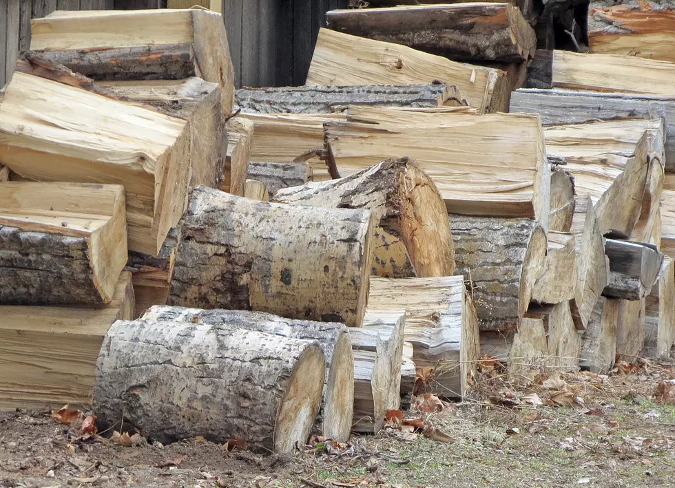 Bitterroot National Forest Firewood Permit Changes