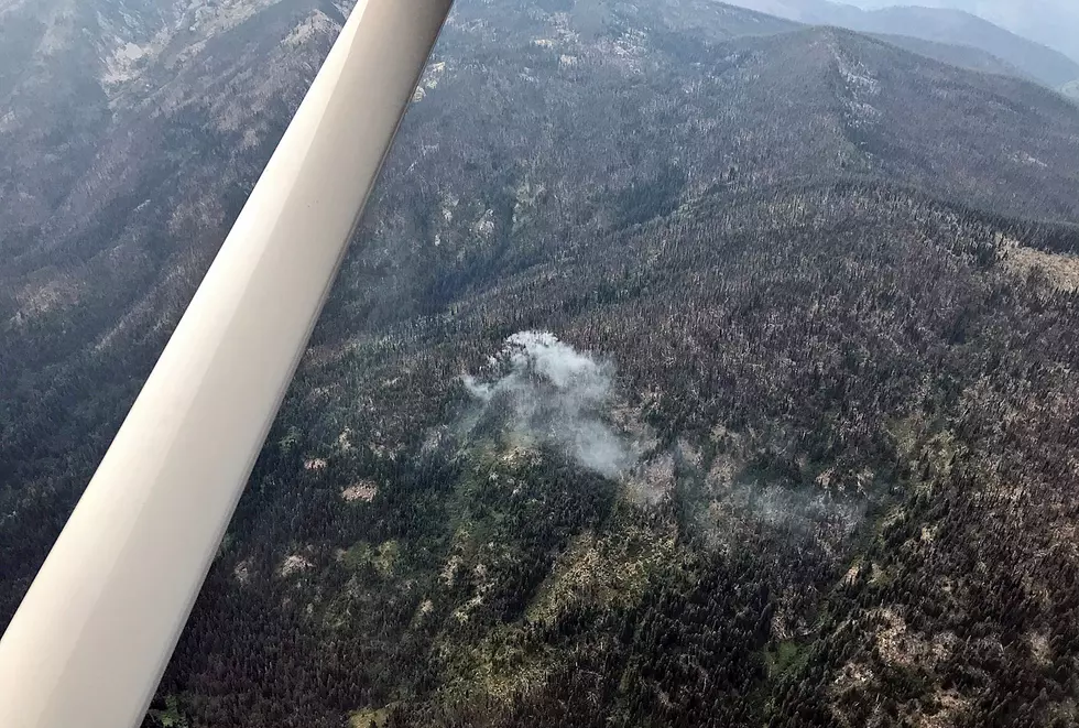 Montana, Idaho Forests Hit by Lightning