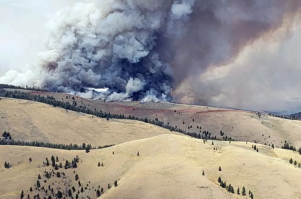 Bear Creek Forest Fire Is Over 7,400 Acres