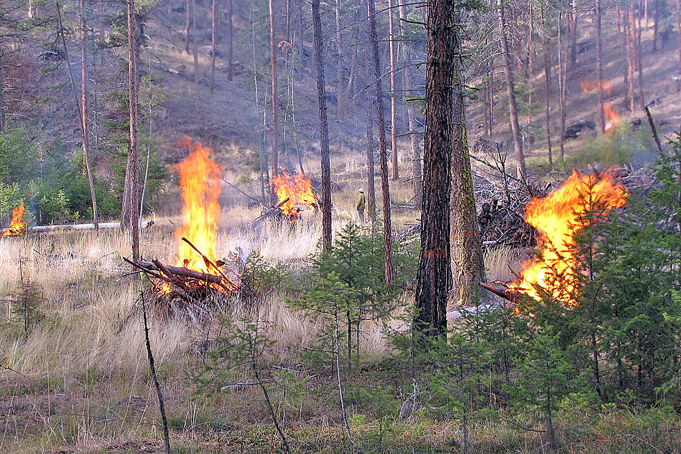 Bitterroot Natl Forest To Start Prescribed Burns