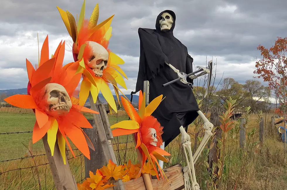 Stevensville&#8217;s Scarecrows Rule the Road