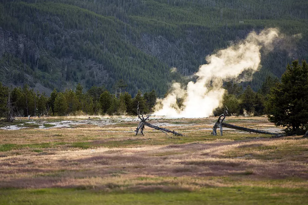 Yellowstone Park Study Shows Disturbance 3,800 Years Ago