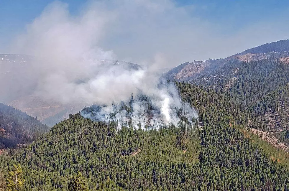 Forest Service Continues Planned Spring Burning