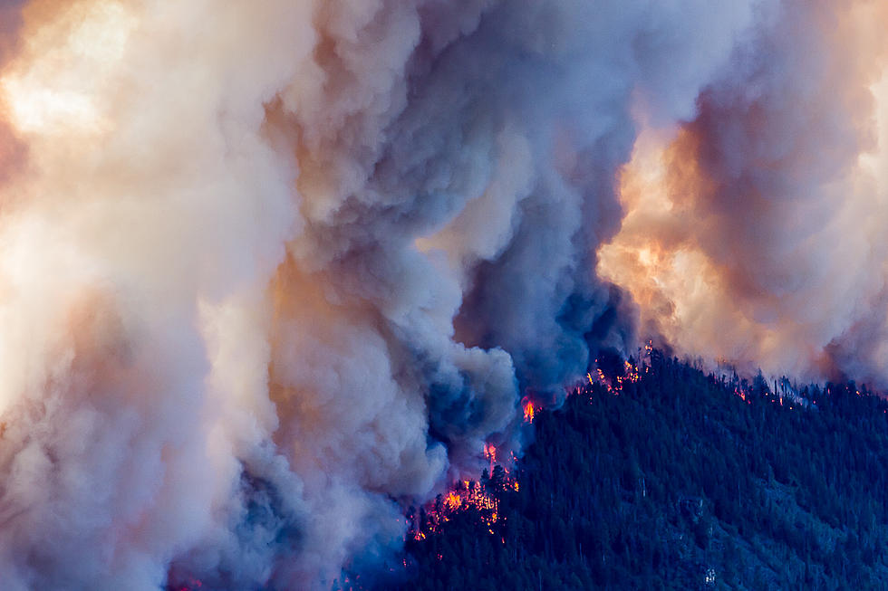Montana Wildfires &#8211; What&#8217;s The Future?