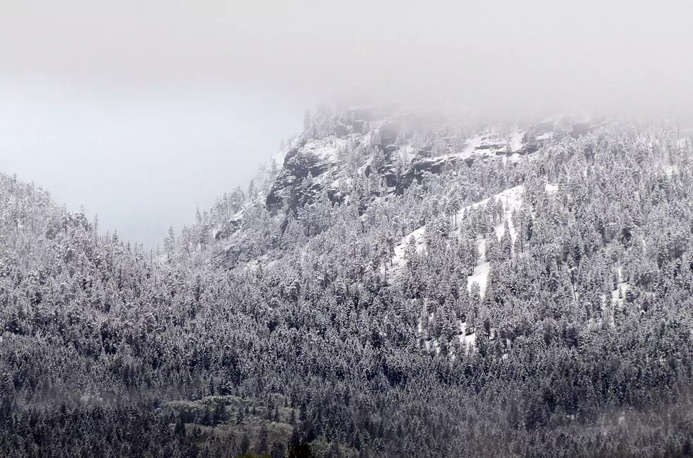 Snowy Morning Surprise For Hamilton May 20