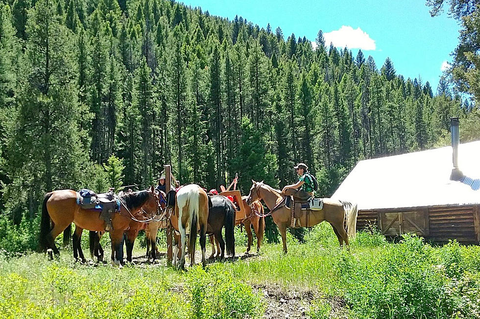 Another Busy Month For BR Back Country Horsemen