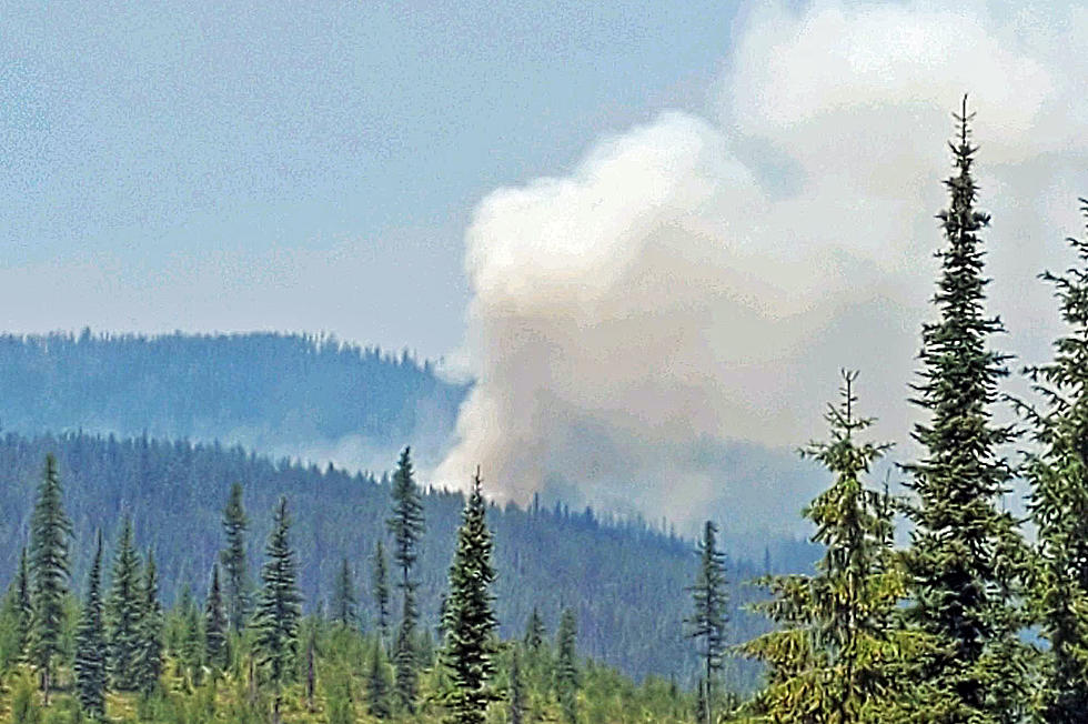 Forest Fires Are All Around – A Brief Roundup