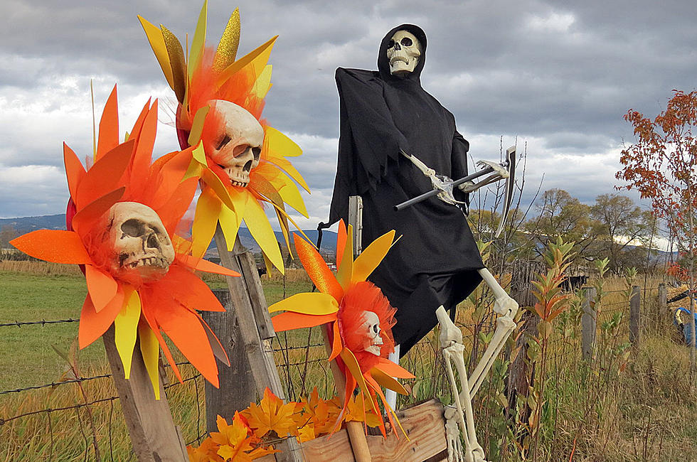 Hilarious and Clever Scarecrows Will Line Stevensville&#8217;s Streets