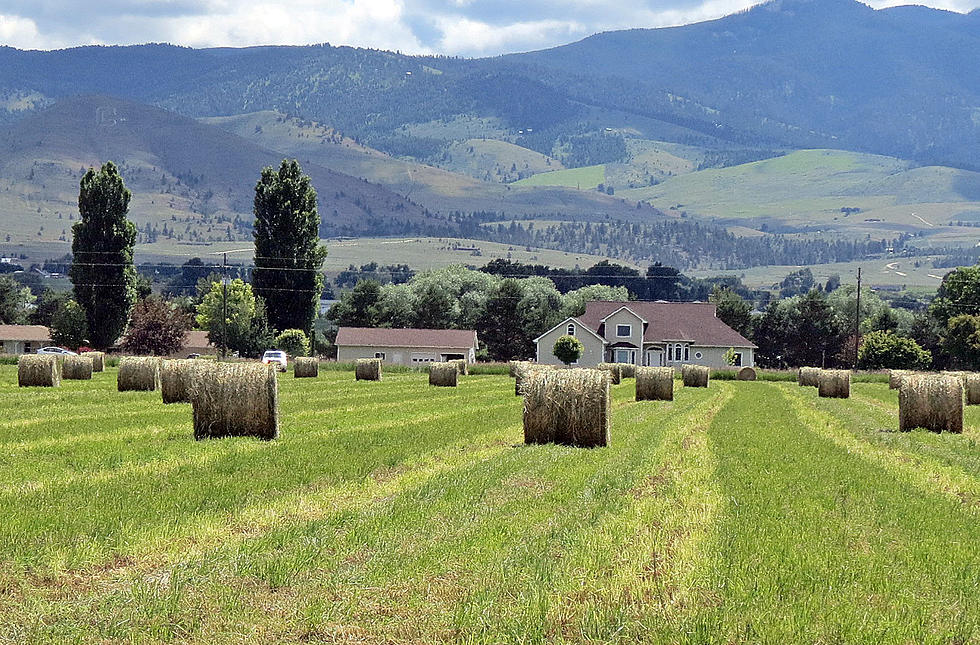 Terrific Montana Agriculture Updates Begin Online