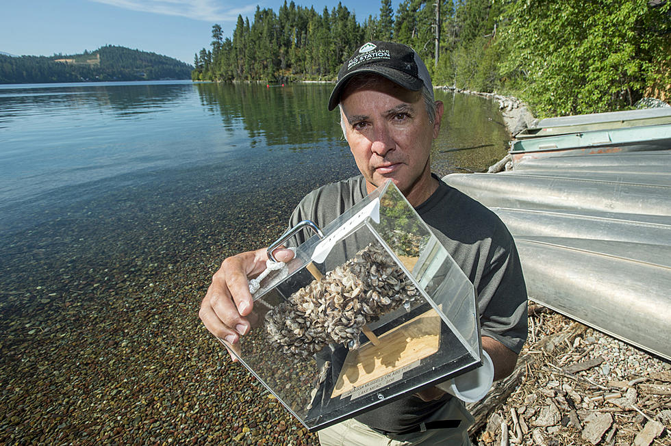 Flathead Lake Scientist Elected to National Science Group