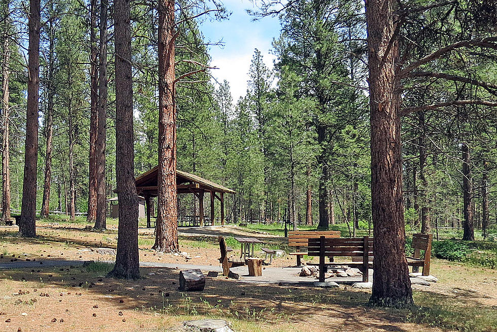 Are Montana Trails and Campsites Too Popular?