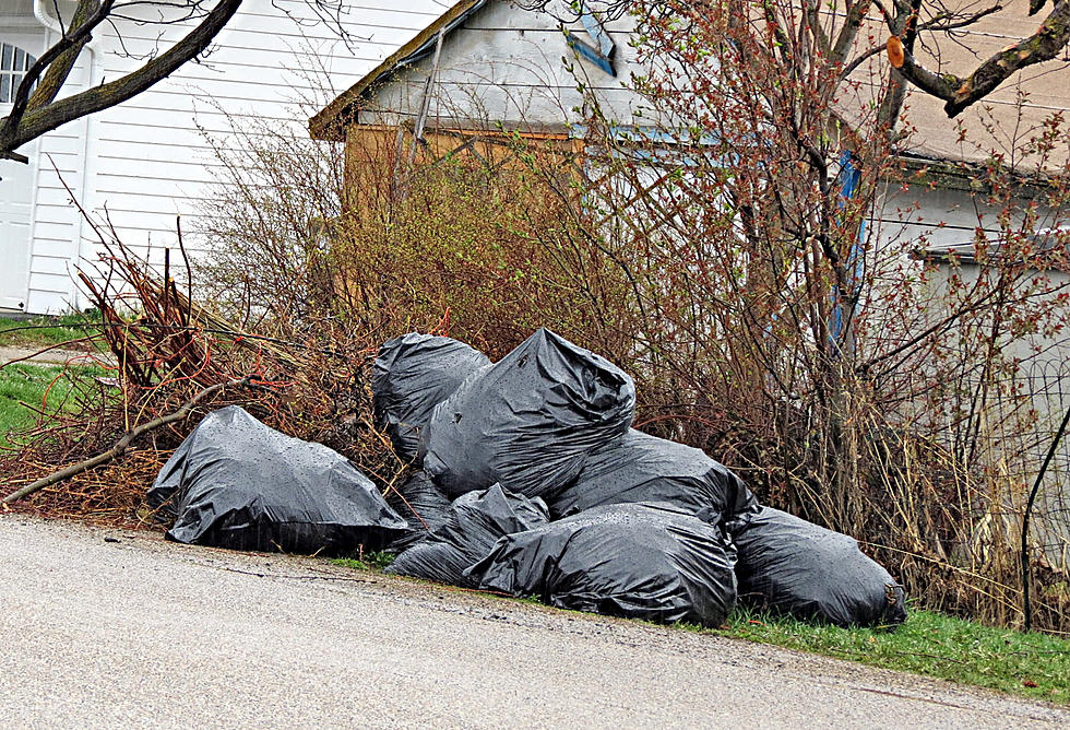 Hamilton’s Spring Cleanup Days Are Next Week