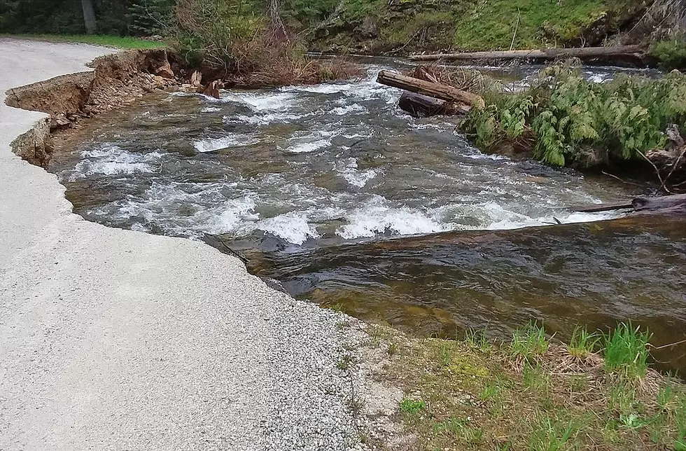 High Water Can Be Dangerous in Forests