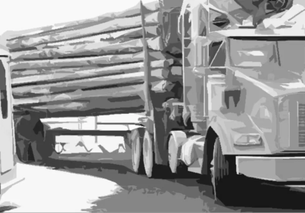 Bitterroot National Forest Timber Sale Begins