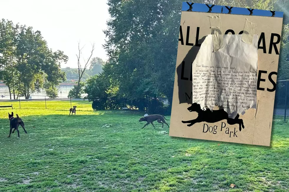 Dogs abandoned inside Morrisville, Pa. dog park
