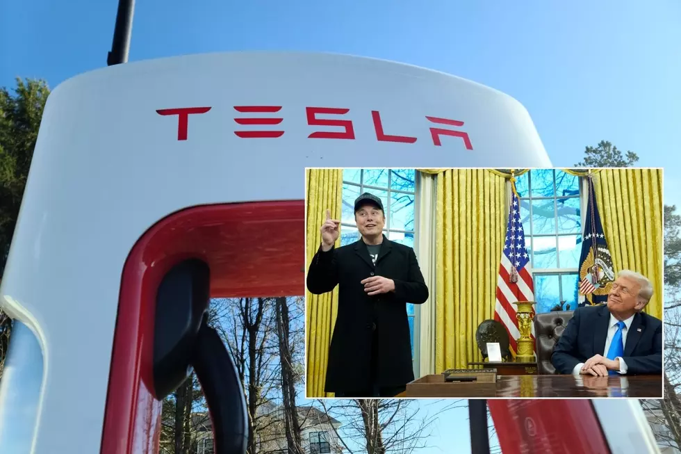 Tesla owners in NJ and PA targeted by harassment, vandalism