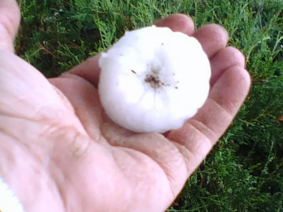 Severe Weather Batters Central, Eastern Montana