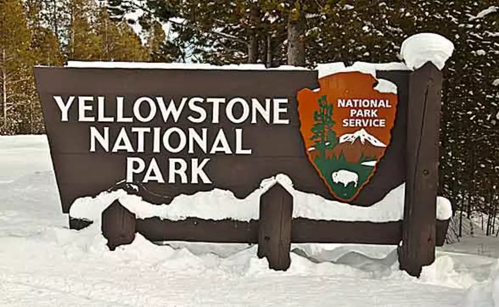 Webinars This Week On Yellowstone Snowmobiles
