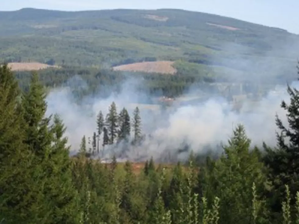 Ambrose Fire Near Stevensville Burns In Lolo National Forest
