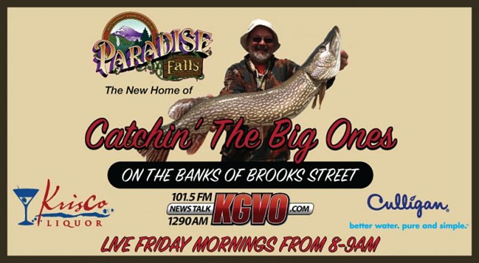 Catch the Big One at Paradise Falls