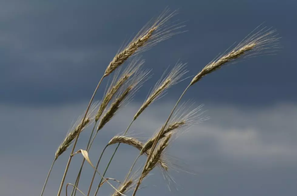 Hail and Flash Floods Could be Headed to Western Montana This Wednesday