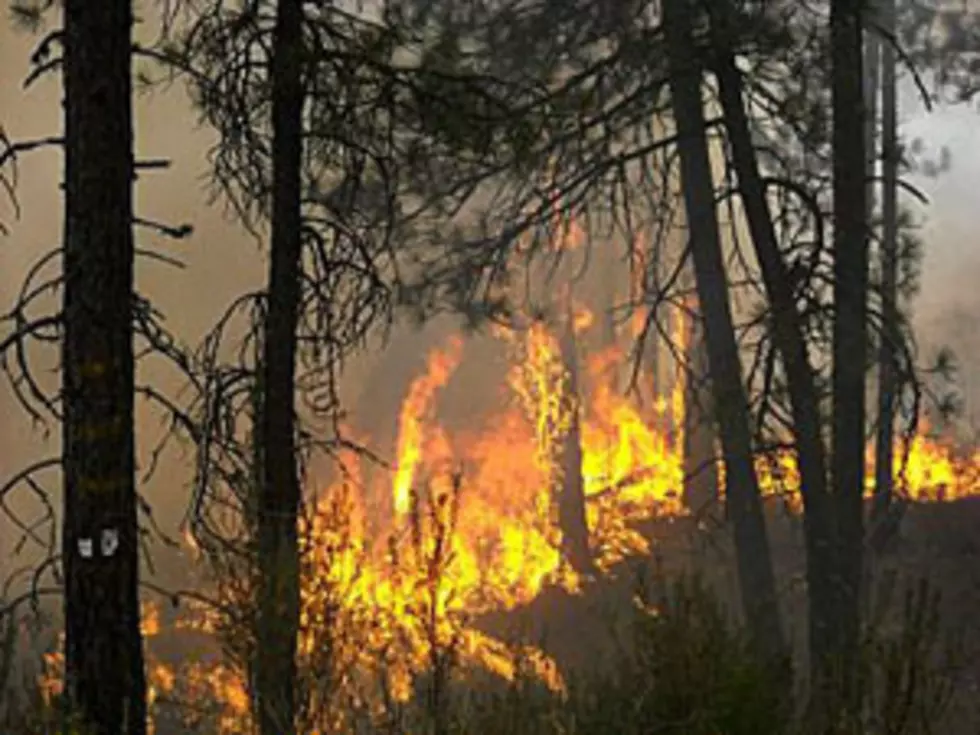 Sheriff: Up to 100 Homes Lost in Washington Fire