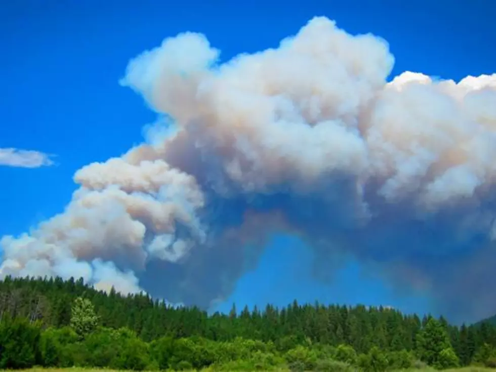 Prescribed Burning Planned For Wednesday and Thursday [AUDIO]
