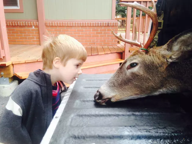 Helena Police Explain Urban Deer Culling Process, 30,000 Pounds of Meat Went to Food Bank