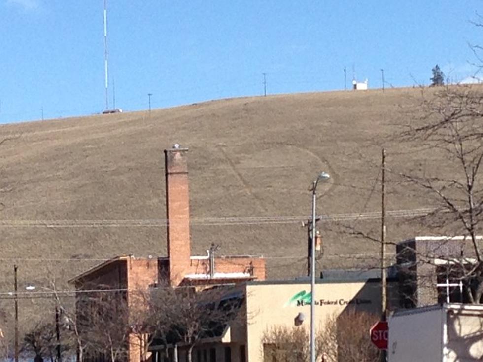 Missoula Peace Sign Vandals Damaged Extremely Rare Plant