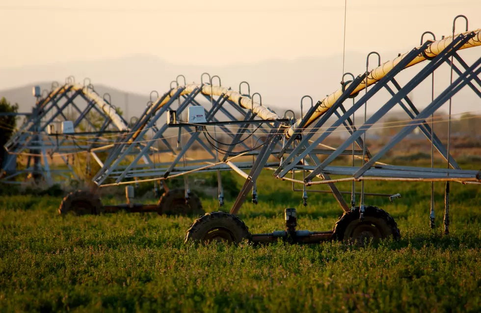 National Agriculture Day Emphasizes Importance of Agriculture in Montana