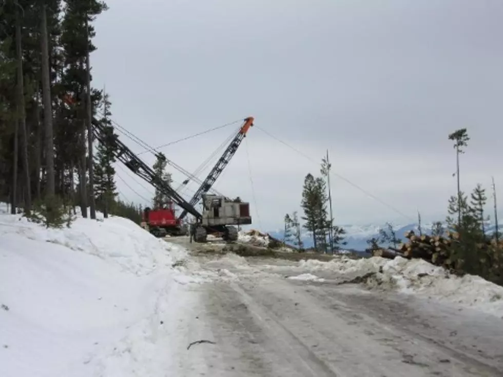 Logging Project Closes Roadway in Sapphire Mountains