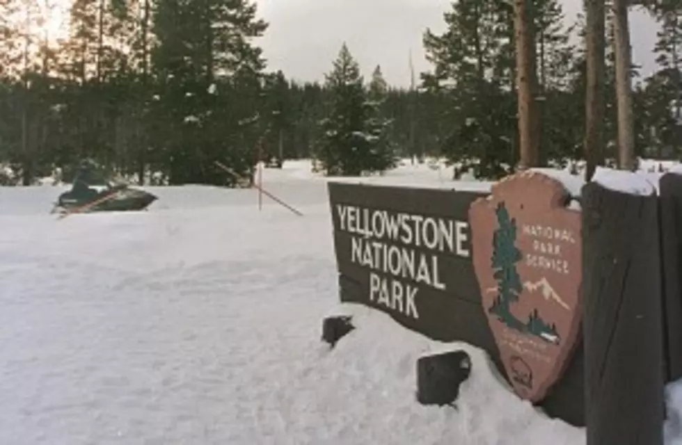 Free Admission to Yellowstone This Weekend