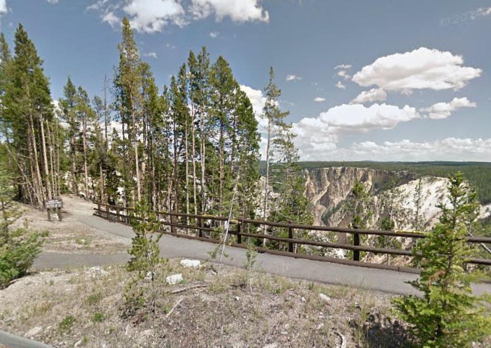 Man Falls Into Yellowstone Canyon While Trying to Take Picture