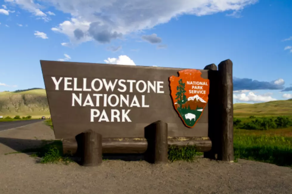 Thermal Feature Closes Road in Yellowstone National Park