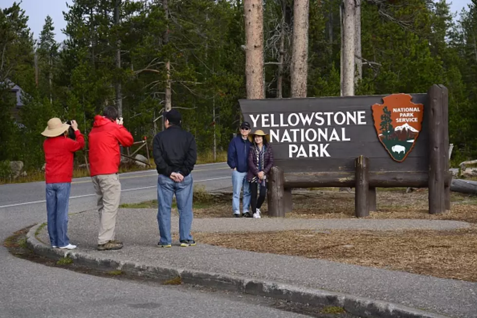 Yellowstone National Park Sees Record Breaking Park Attendance This Year