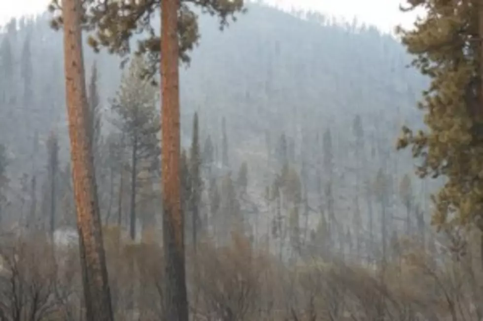 Lightning Storm Caused Mulitple Small Fires in Bitterroot National Forest