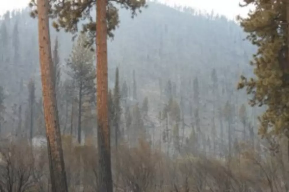 Lightning Storm Caused Multiple Small Fires in Bitterroot National Forest