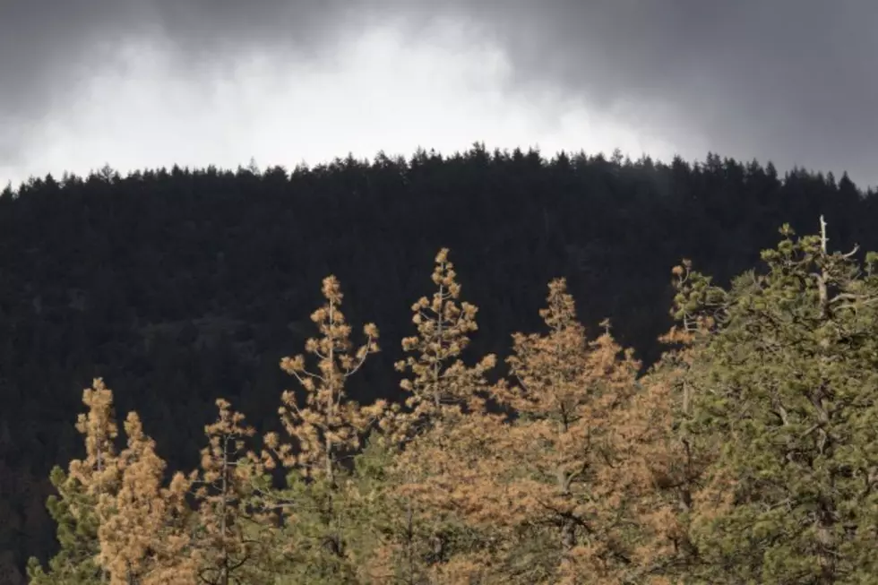 Drought Continues to Plague Western Montana and Beyond